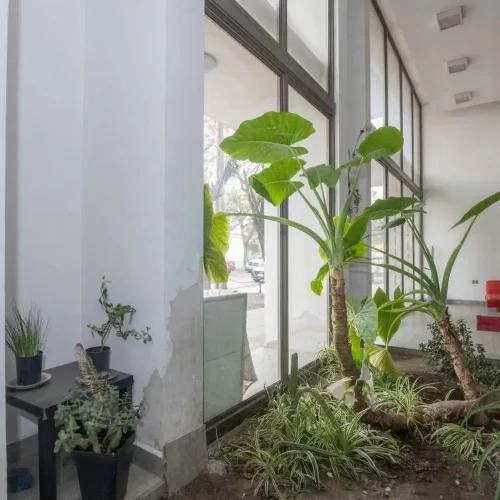 Area de jardines edificio Quinta Normal